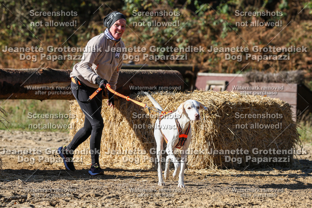 Dog Paparazzi - Strongdog 10-25-2755 | Dog Paparazzi Jeanette Grottendiek Fotografie & Videografie - Realisiert mit Pictrs.com