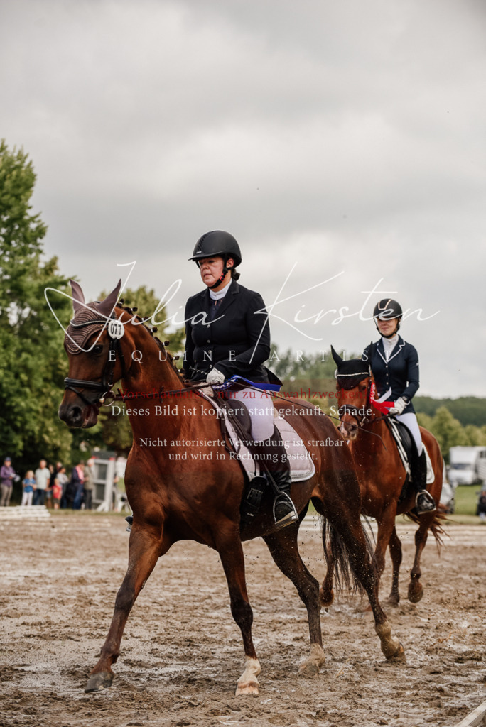DSC_9398 | Pferde- und Turnierfotografie in Westsachsen. Pferdeportraits, Auftragszeichnungen und intuitive Kunst.