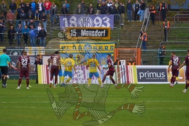 BFC Dynamo vs. 1.FC Lok Leipzig 043 | mythos-online-redaktion