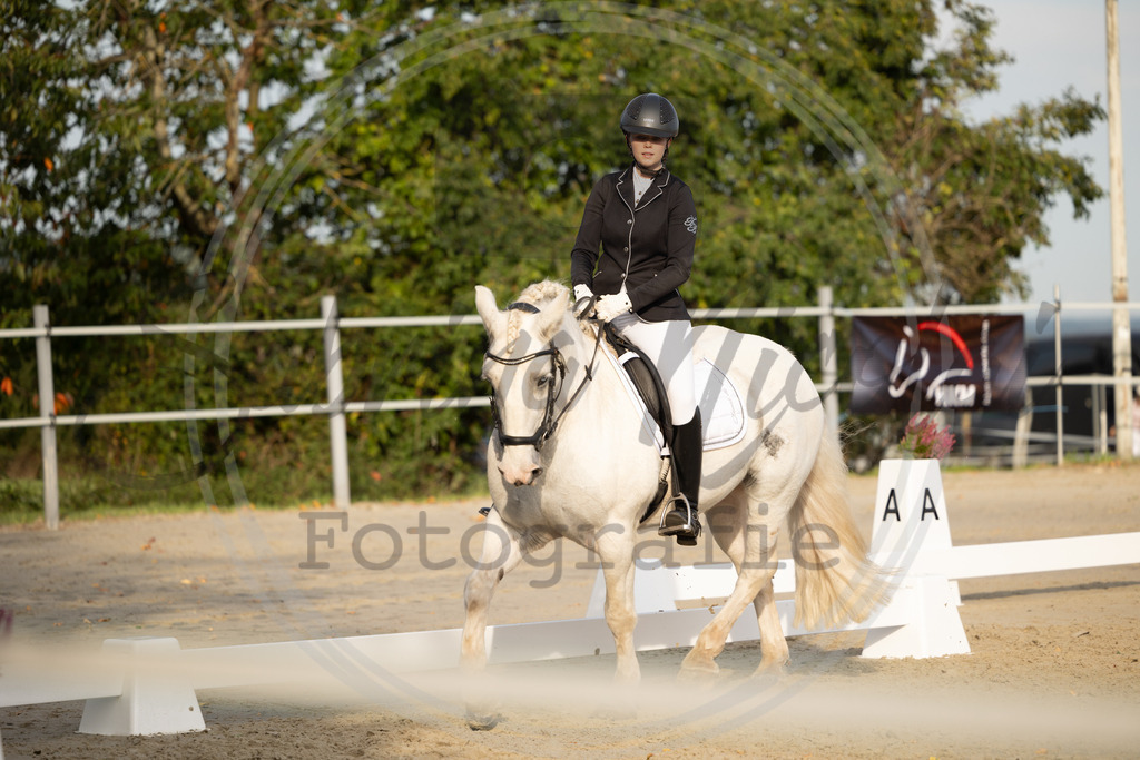 994A0708 | sabrinanicolaifotografie - Realisiert mit Pictrs.com