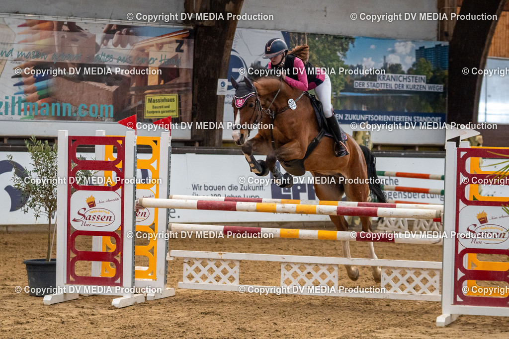 Kranichstein Tag 2-293 | dv-media-shop - Realisiert mit Pictrs.com