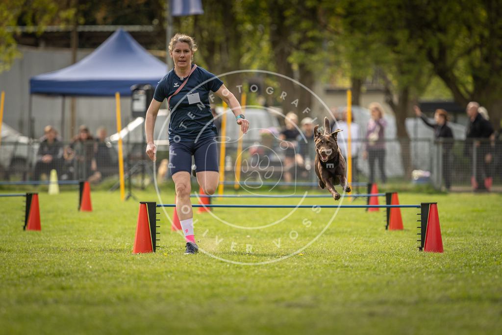 Pfotenfotografie_DV3A6044 | Hundefotografie, Tierfotograf, Pfotenfotografie, Fotoshooting Hund, Hunde Portrait, Hundesport, Hundeportraits, Heideshooting, Hunde, Sportfotograf, Hundefotograf, Turnierhundsport, THS,  - Realisiert mit Pictrs.com