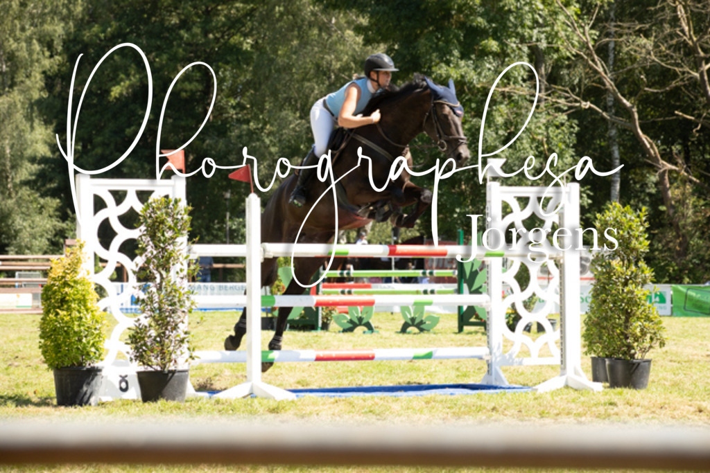 IMG_9138 | photographesa-joergens - Realisiert mit Pictrs.com