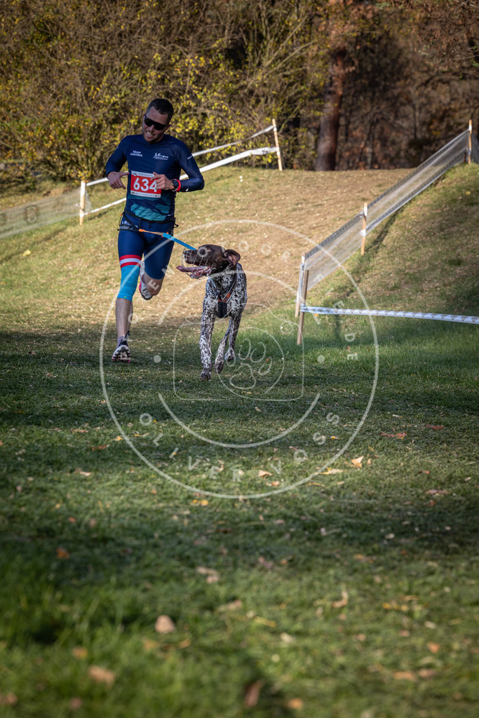 CaniXpix_0L8A8954 | Hundefotografie, Tierfotograf, Pfotenfotografie, Fotoshooting Hund, Hunde Portrait, Hundesport, Hundeportraits, Heideshooting, Hunde, Sportfotograf, Hundefotograf, Turnierhundsport, THS,  - Realisiert mit Pictrs.com