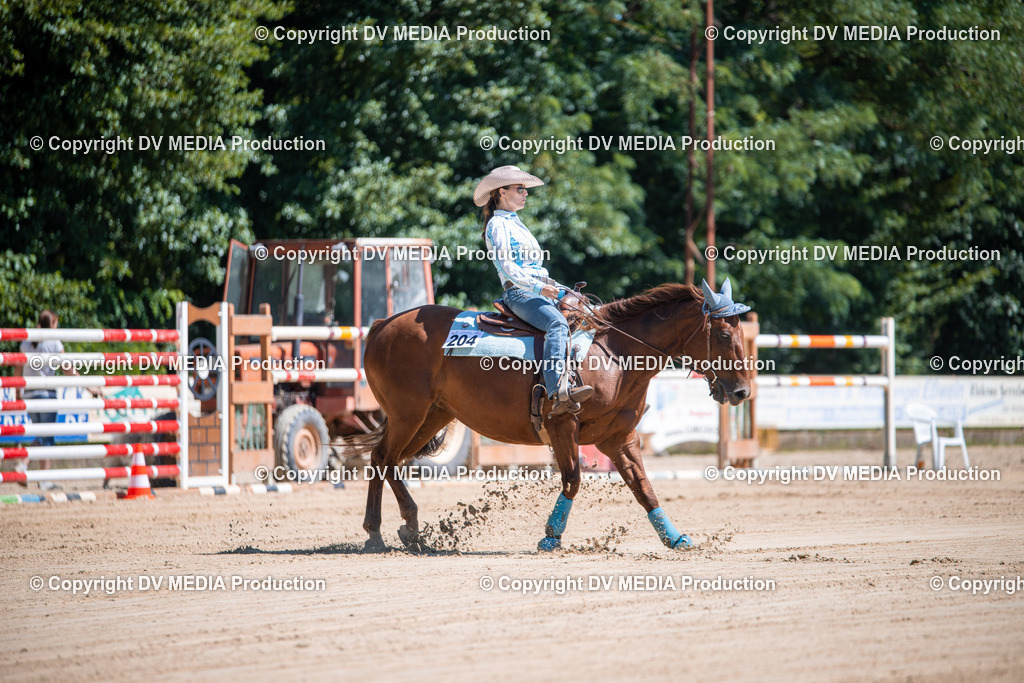 ZS1_1001 | dv-media-shop - Realisiert mit Pictrs.com