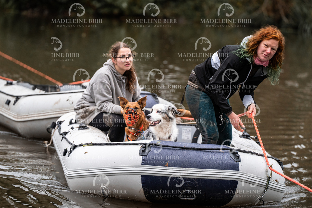 madeleinebirr-fotografie2025.campcanis.Startbis9Uhr-82 | hundefotografie-birr