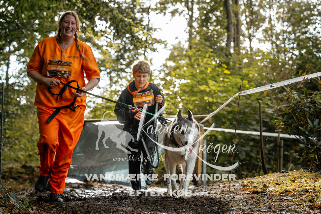 1456DZ6_4031Z6 | kk-dogfotos