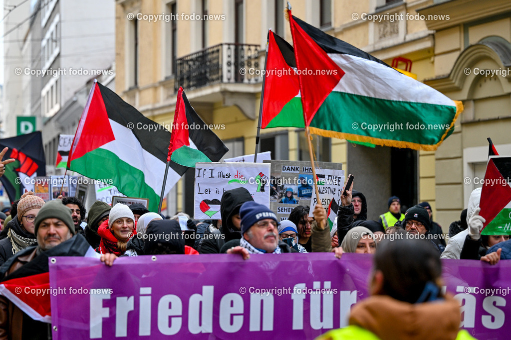 Demonstration Paleastina in Linz_ Pro Gaza_ 14.01.2024-50 | 14.01.2024, Linz, AUT, Demonstration, im Bild Palästina, Palaestina, Gaza, Demoteilnehmer, Teilnehmer, Kundgebung, Plakate, Fahnen, Polizei, Beamte, Polizeifahrzeuge, Einsatzkraefte, Israel, Krieg, Hamas, Geisel, Freiheit, Frieden