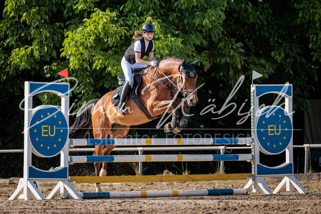 20260529-_3LI0529 | Tierfotografie Pferde, Hunde, Katzen, Haustiere.
Turnierfotografie Reitturniere, Reiten, Springreiten, Dressur in Hanau, dem Main-Kinzig-Kreis und dem Rhein-Main- Gebiet um Frankfurt