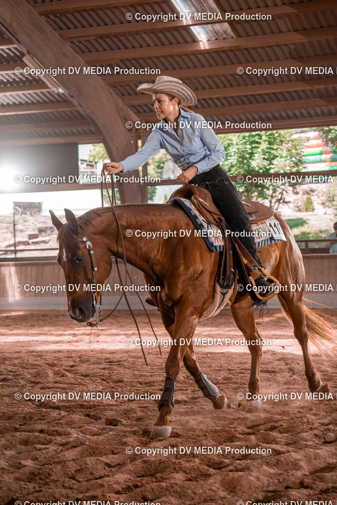 NE100512 | dv-media-shop - Realisiert mit Pictrs.com