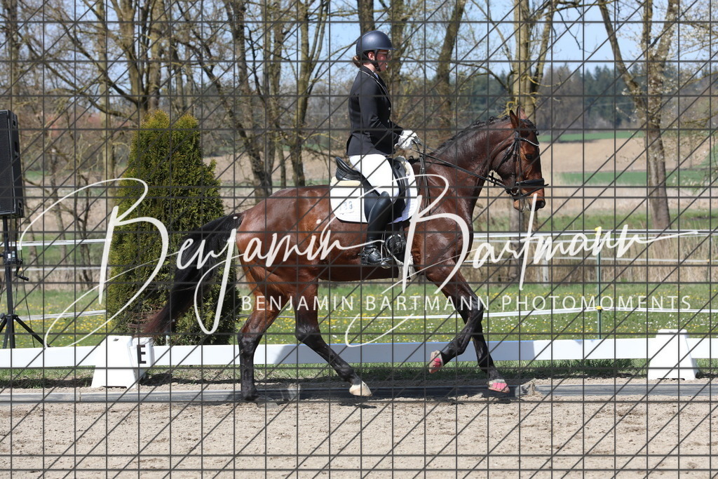 AZ2A5372 | Benjamin Bartmann Photomoments