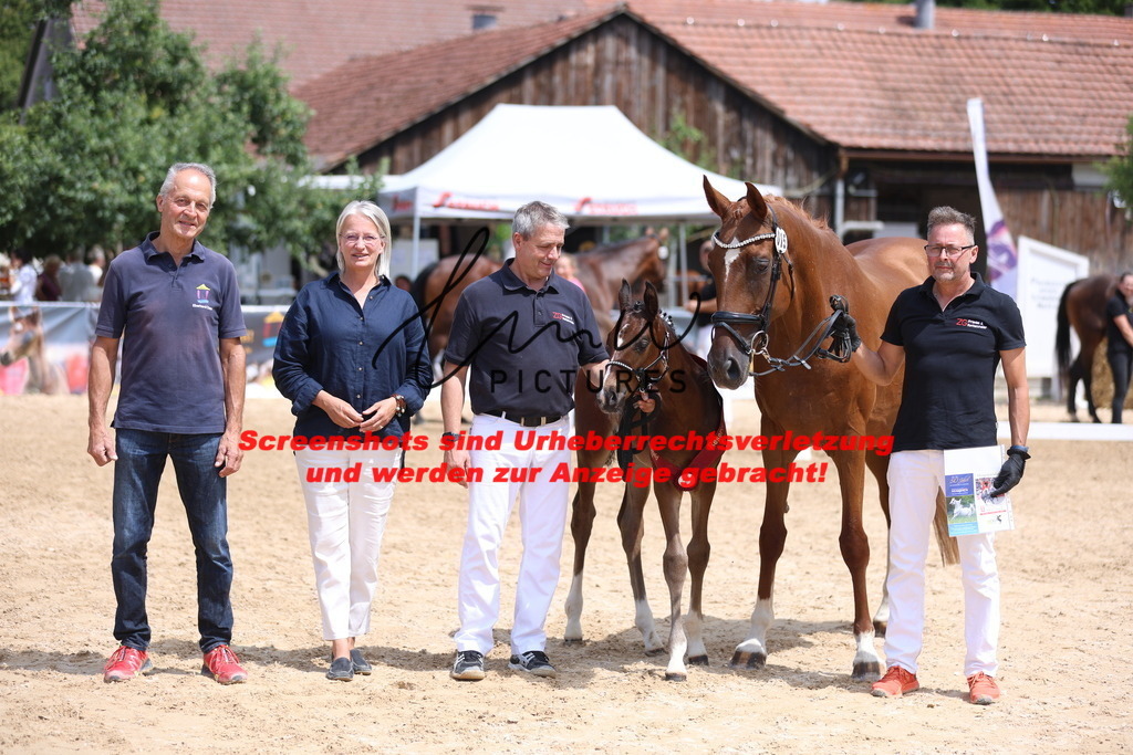 Fohlenschau_Schwäbisch_Hall_dressurbetonte_Fohlen_RESERVE SIEGER_KN 15_10 | lmwpictures - Realisiert mit Pictrs.com