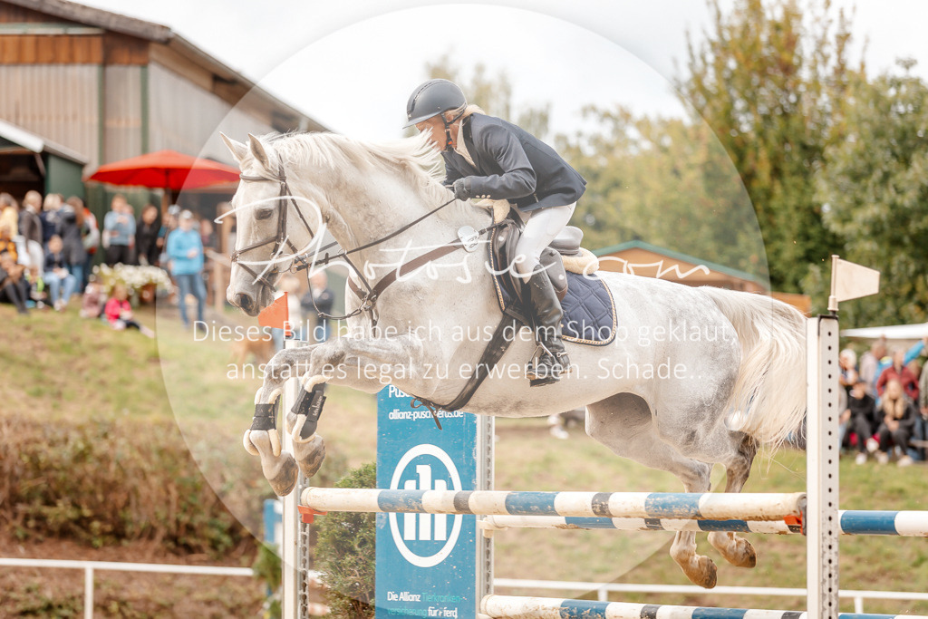 3I6A8098 | Stimmungsvolle Portraits und Reitsportfotografie im Ruhrgebiet und im Münsterland.

Pferdefotografie, Hundefotografie, Tierfotografie, Reportagen, Portraits von Tier und Mensch, Turnierfotografie in Bochum, Recklinghausen, Marl, Haltern am See, Dülmen.. - Realisiert mit Pictrs.com