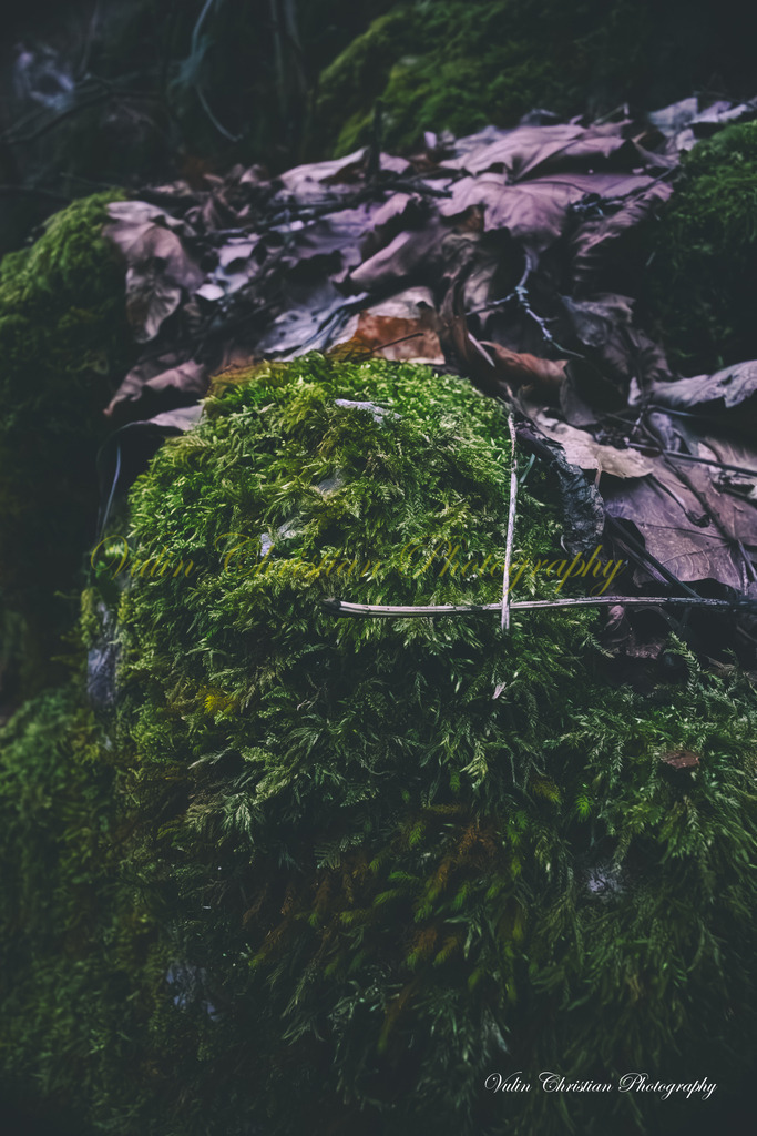 JBK 9 | Christian Vulin  - Realisiert mit Pictrs.com