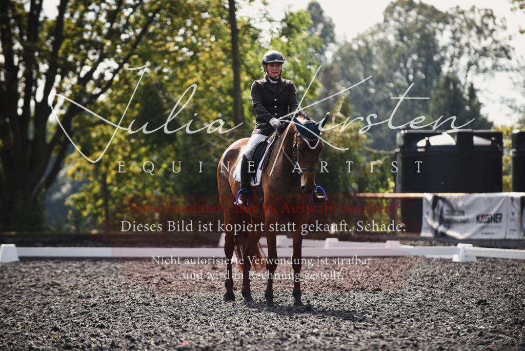 DSC_3677 | Pferde- und Turnierfotografie in Westsachsen. Pferdeportraits, Auftragszeichnungen und intuitive Kunst.
