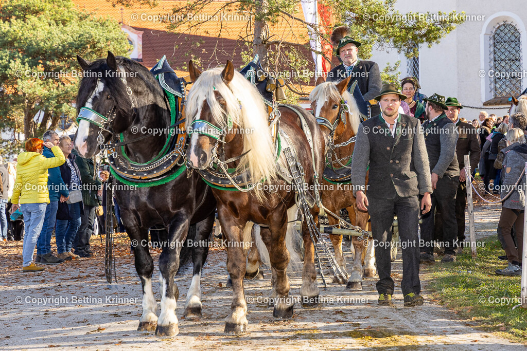 LBT25-1355 | foto-bettina-krinner - Realisiert mit Pictrs.com