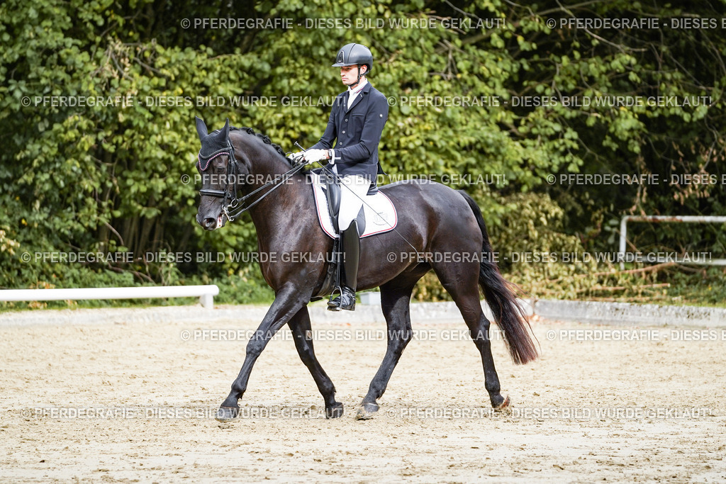 DSC05592 | Pferdegrafie