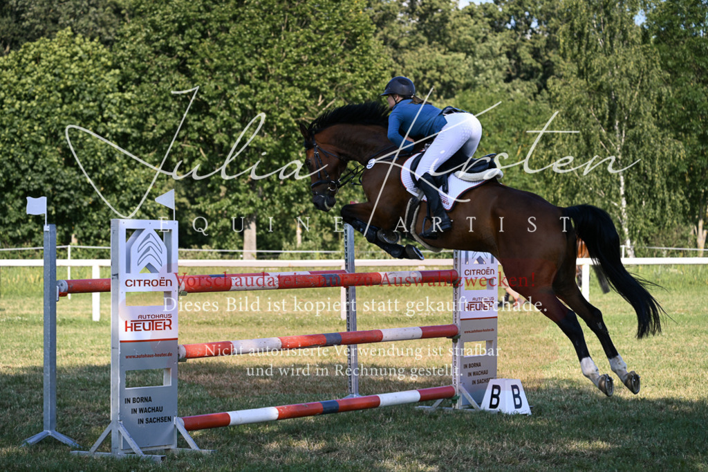 DSC_1610 | Pferde- und Turnierfotografie in Westsachsen. Pferdeportraits, Auftragszeichnungen und intuitive Kunst.