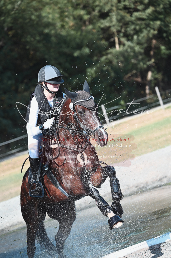 DSC_8791 | Pferde- und Turnierfotografie in Westsachsen. Pferdeportraits, Auftragszeichnungen und intuitive Kunst.