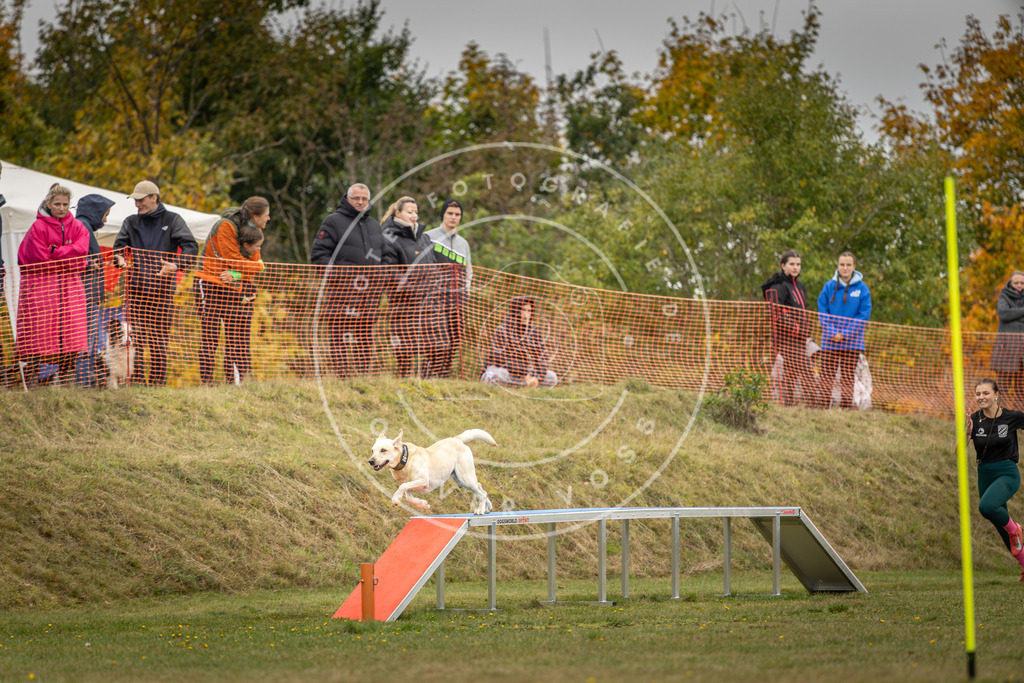 Pfotenfotografie_DV3A4544 | Hundefotografie, Tierfotograf, Pfotenfotografie, Fotoshooting Hund, Hunde Portrait, Hundesport, Hundeportraits, Heideshooting, Hunde, Sportfotograf, Hundefotograf, Turnierhundsport, THS,  - Realisiert mit Pictrs.com
