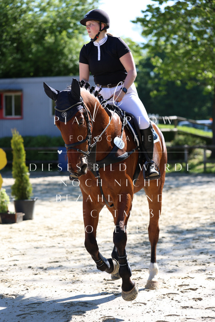 IMGS6705 | pl-fotografie