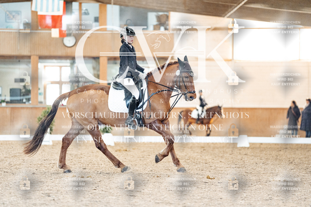 CK907779 | Turnierfotografie Pferdefotografie Trier Rheinland-Pfalz Pferdesport Reitsport Tierfotografie Sportfotografie Pferdevideo Pferdevideografie Equestrianvideography equestrianphotography  - Realisiert mit Pictrs.com