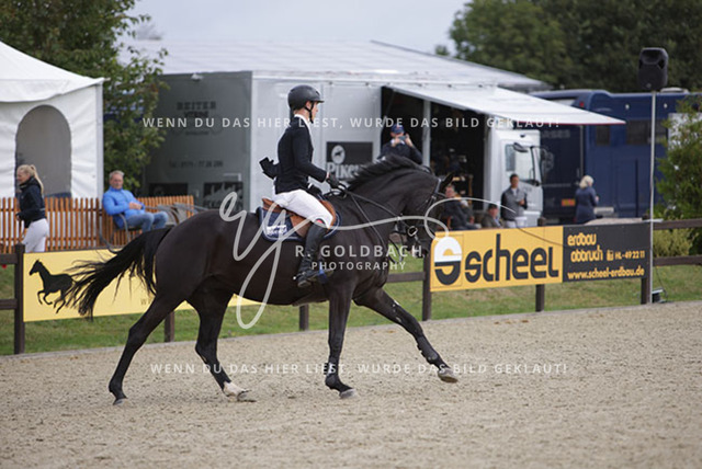 1J2A2306Hannes Ahlmann_ Mizia_ Kn748_ Havekost | Foto- und Videografie für alles rund ums Pferd. Hochwertige Bilder und Videos vom Spring- und Dressurreiten, Voltigieren & mehr. Jetzt aktuelle Veranstaltungen und Preise im Shop ansehen. - Realisiert mit Pictrs.com