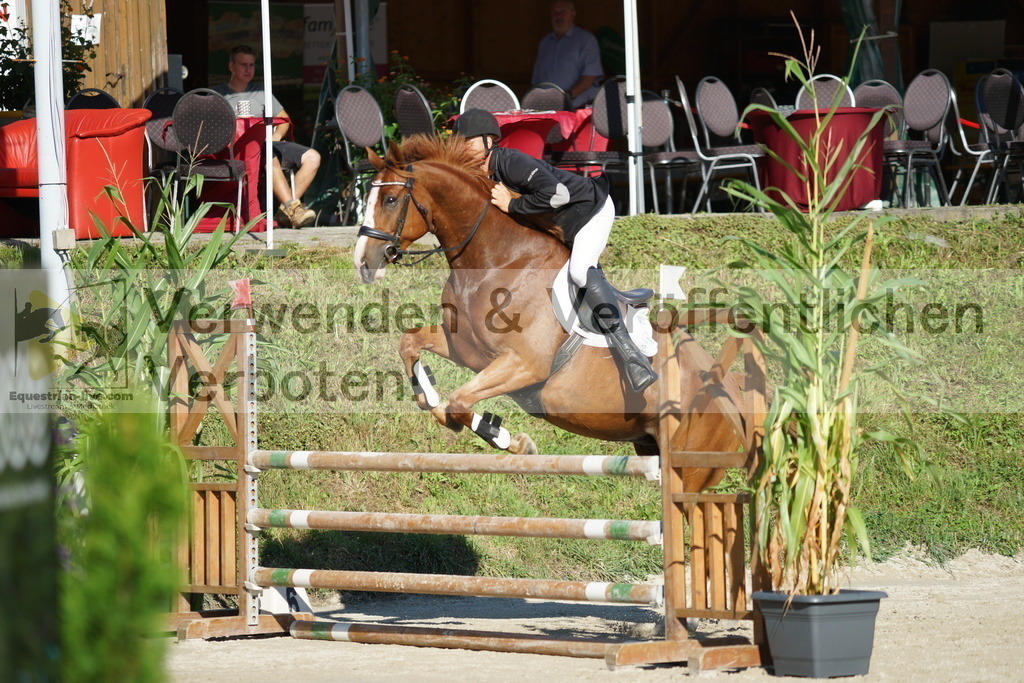 DSC02210 | equestrian-live-com