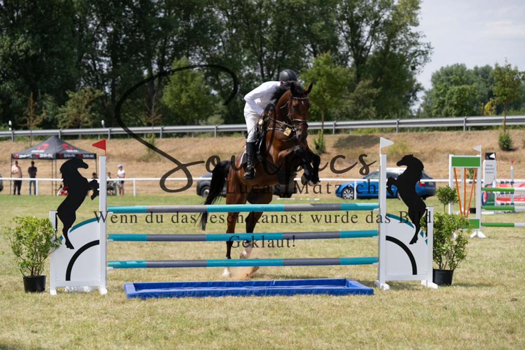 A7V01987 | Pferdefotograf