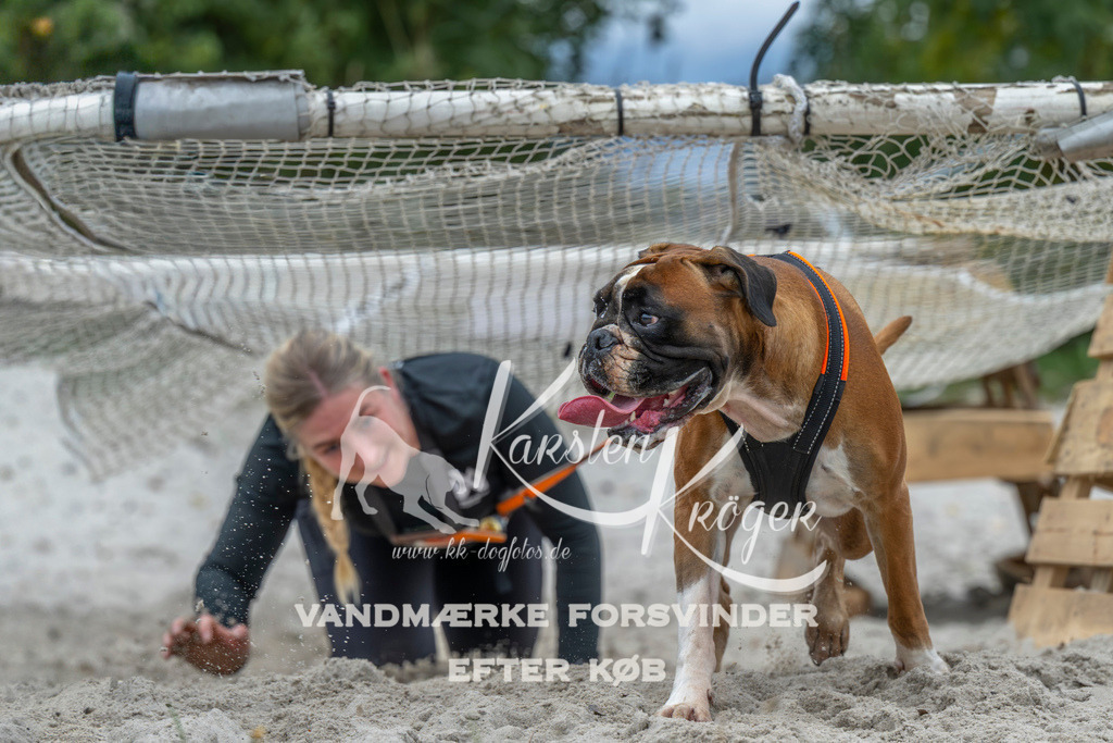 1022_ZZ93794 | kk-dogfotos