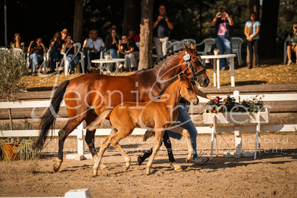 11.DoRP00167 | Leoni Ertmer Photography - Realisiert mit Pictrs.com