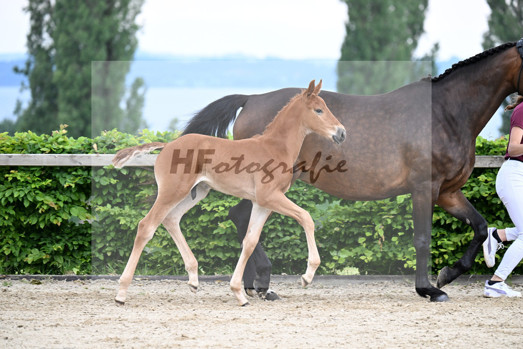 Kat-Nr. 22 Va Bene x Fahrenheit_HF_Bosch_14250223 | hf-fotografie - Realisiert mit Pictrs.com
