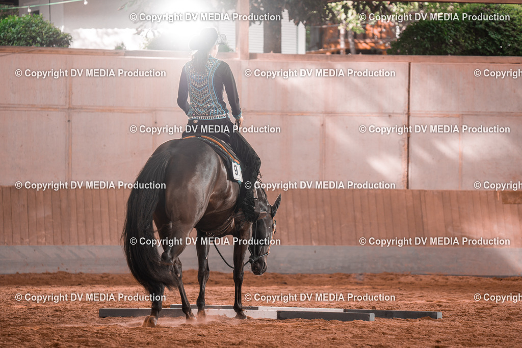 NE200160 | dv-media-shop - Realisiert mit Pictrs.com