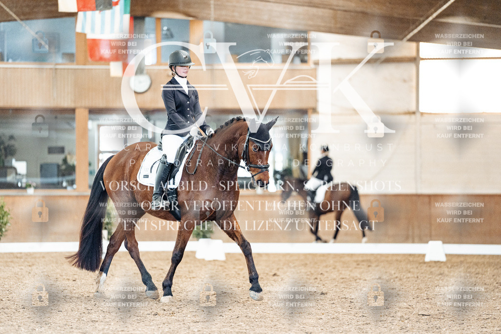 CK909239 | Turnierfotografie Pferdefotografie Trier Rheinland-Pfalz Pferdesport Reitsport Tierfotografie Sportfotografie Pferdevideo Pferdevideografie Equestrianvideography equestrianphotography  - Realisiert mit Pictrs.com