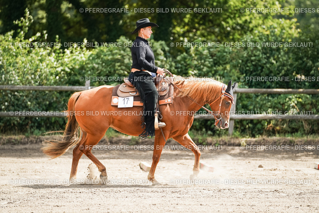 DSC06102 | Pferdegrafie