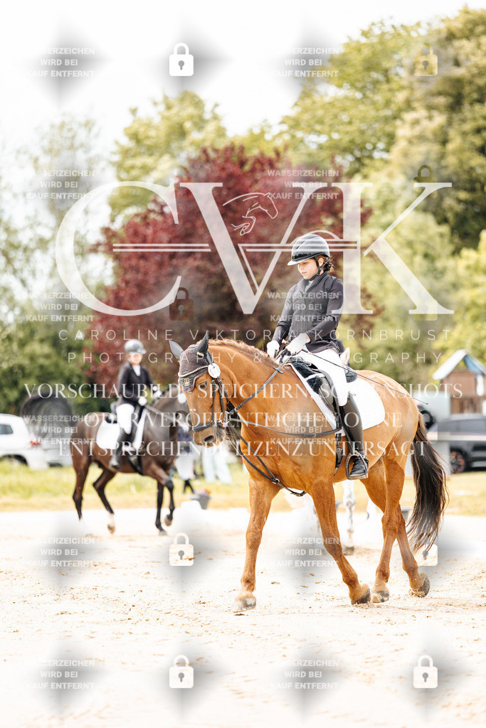 CK902714 | Turnierfotografie Pferdefotografie Trier Rheinland-Pfalz Pferdesport Reitsport Tierfotografie Sportfotografie Pferdevideo Pferdevideografie Equestrianvideography equestrianphotography  - Realisiert mit Pictrs.com