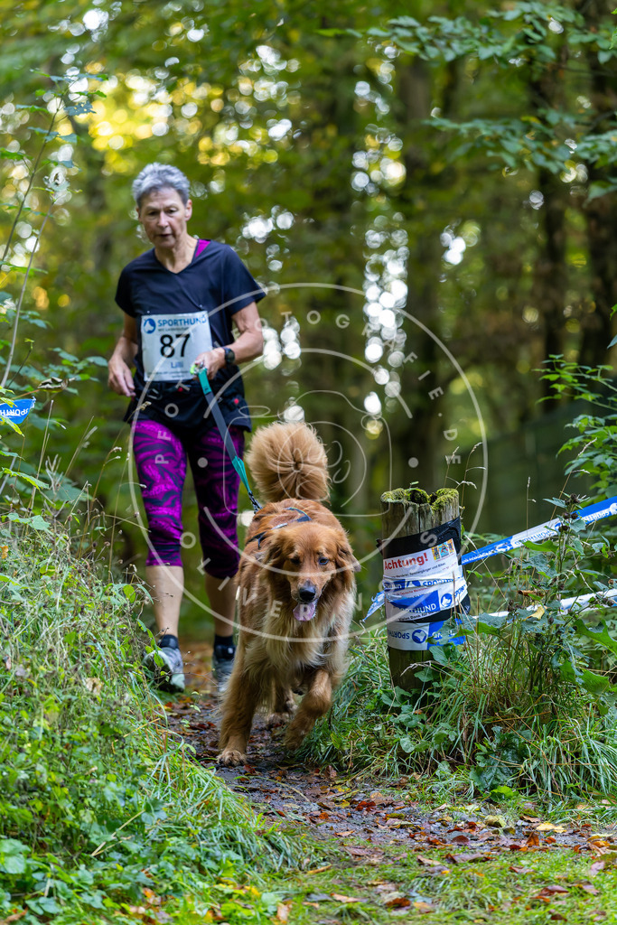 Pfotenfotografie_DV3A7625 | Hundefotografie, Tierfotograf, Pfotenfotografie, Fotoshooting Hund, Hunde Portrait, Hundesport, Hundeportraits, Heideshooting, Hunde, Sportfotograf, Hundefotograf, Turnierhundsport, THS,  - Realisiert mit Pictrs.com