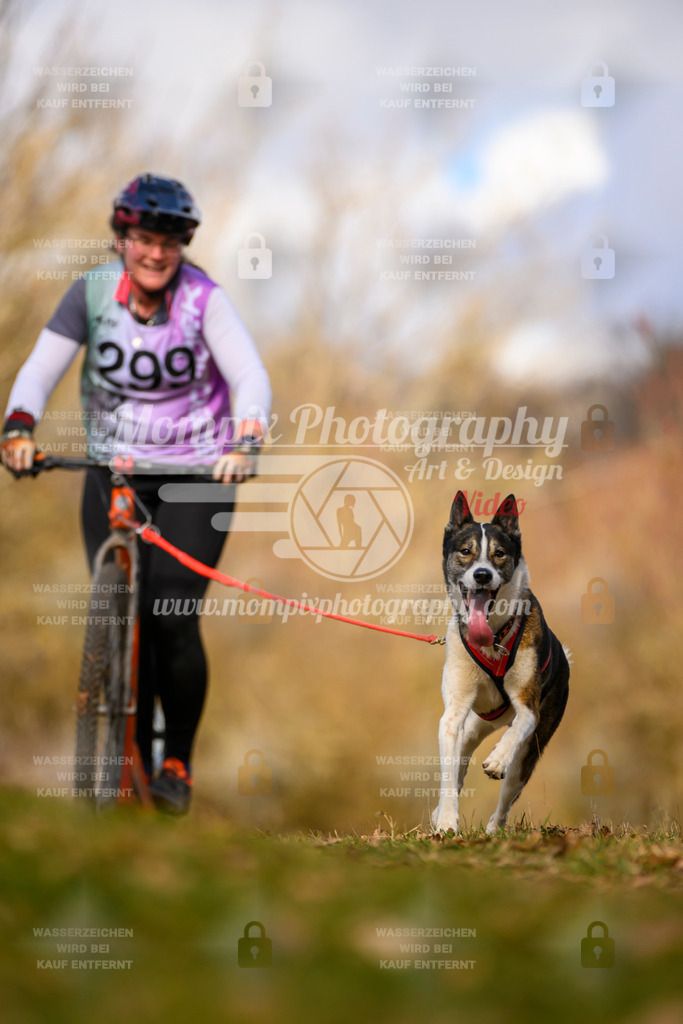 MompixPhotography_10Schwabentrail2026_SO_Scooter-145 | PayLife