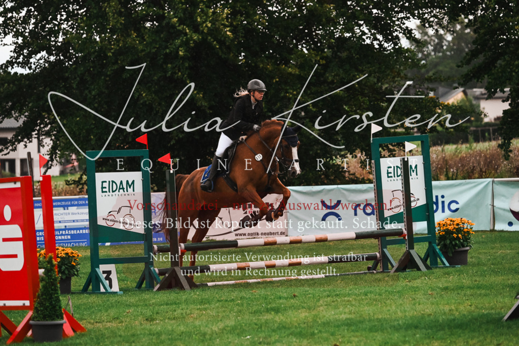 DSC_6078 | Pferde- und Turnierfotografie in Westsachsen. Pferdeportraits, Auftragszeichnungen und intuitive Kunst.