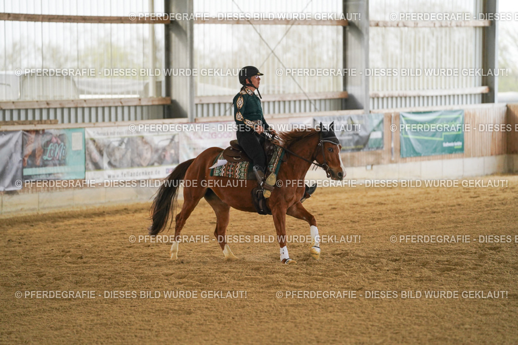 DSC08108 | Pferdegrafie