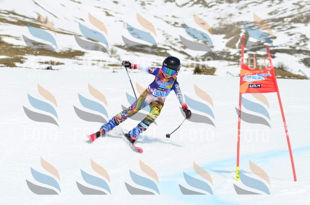 _ELE2300 | holidayphoto