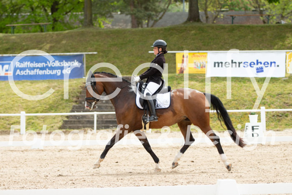 IMG_2870 | Creatify Fotografie