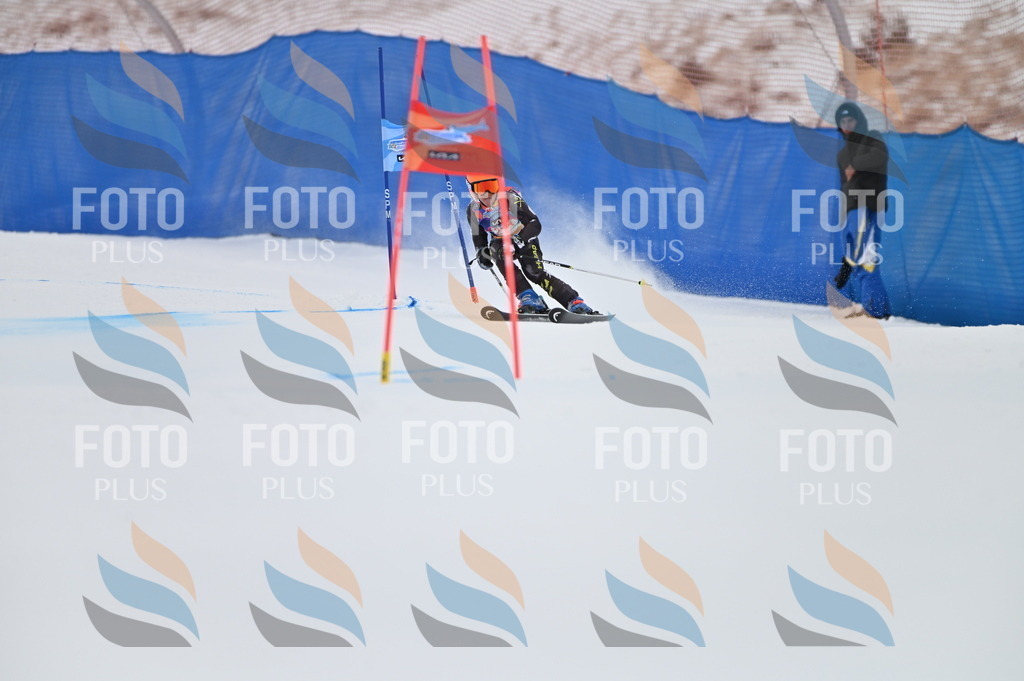 BGV_2417 | holidayphoto