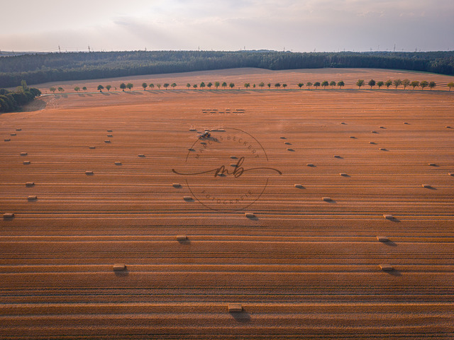 2026-07-30_19-34-18_000 | Blick auf große landwirtschaftliche Felder während der Erntezeit in weichem Licht, Zeulenroda, Thüringen, Deutschland - Realisiert mit Pictrs.com