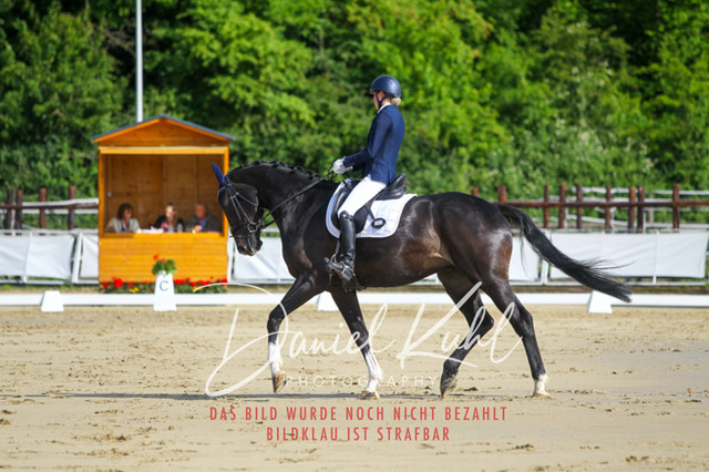 DKP45424 | Turniersportfotografie; Pferdefotografie; Dressurfotografie