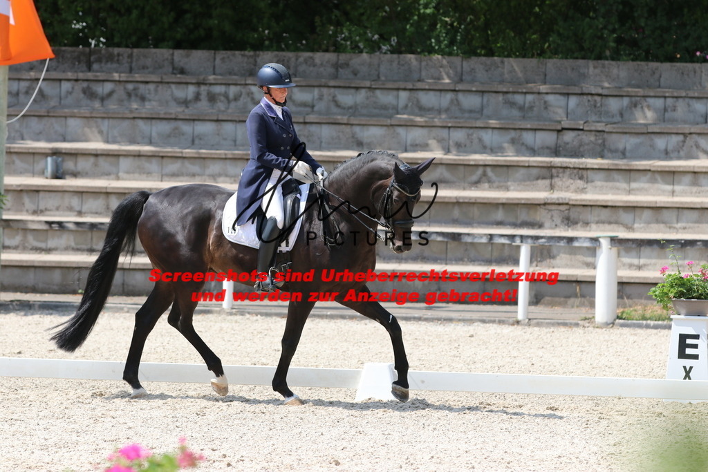 IMG_7393 | lmwpictures - Realisiert mit Pictrs.com