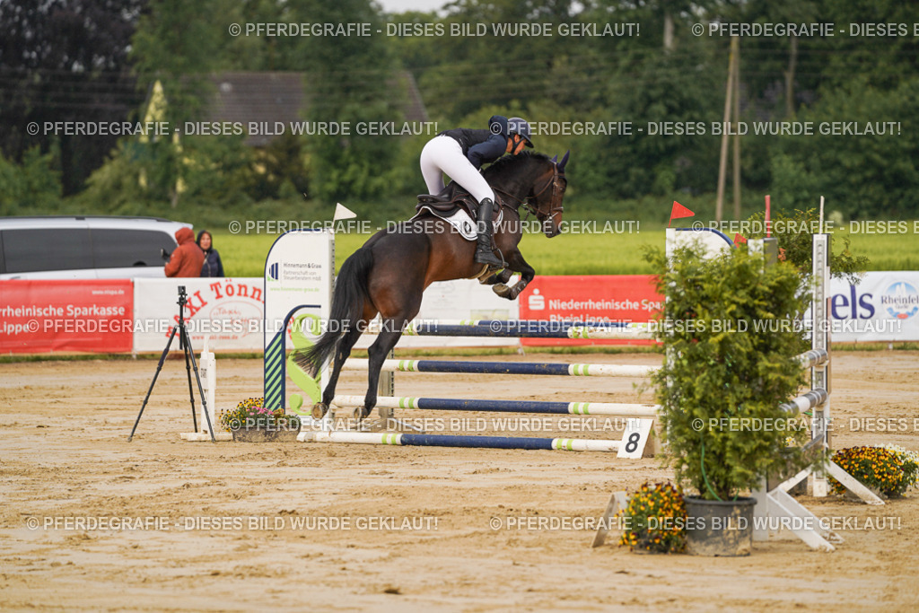 DSC00213 | Pferdegrafie