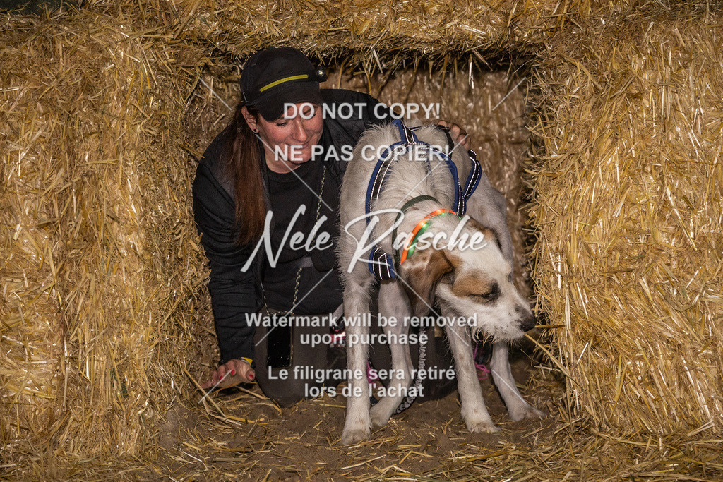 nelerasche_FrNacht_504 | nelerasche