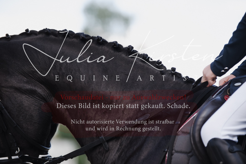 DSC_9944 | Pferde- und Turnierfotografie in Westsachsen. Pferdeportraits, Auftragszeichnungen und intuitive Kunst.