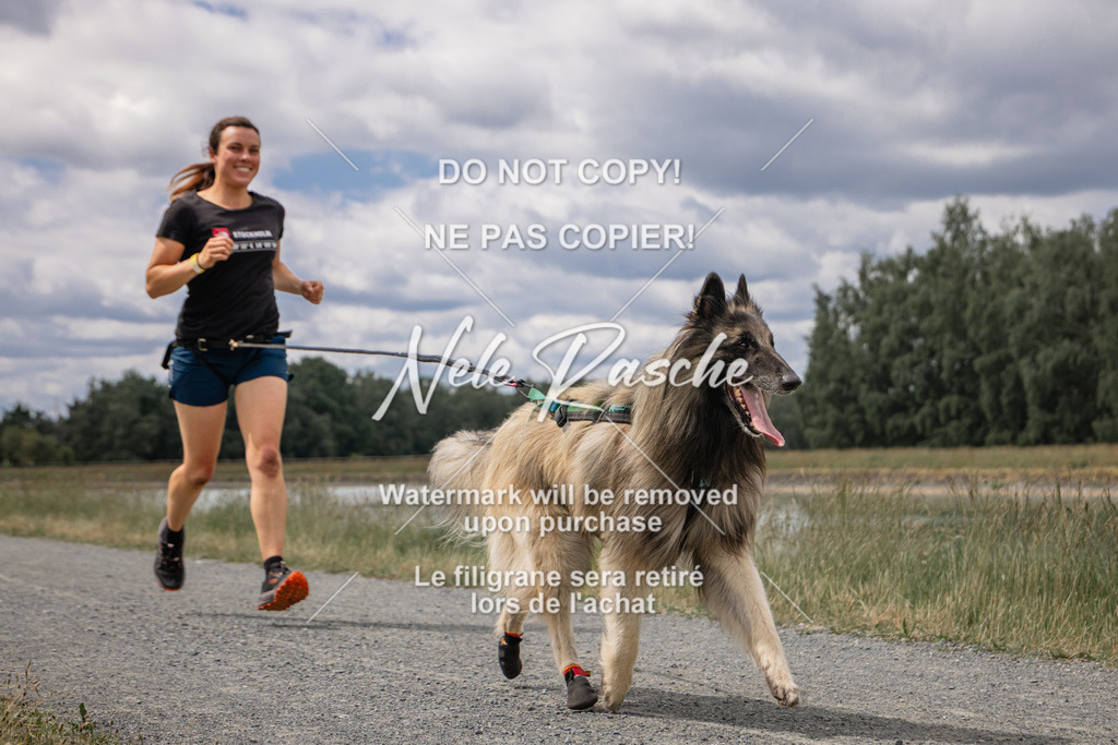 nelerasche_BuHu2026_SaCC1100-1200_219 | nelerasche